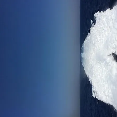 Aphentrika プロタラス